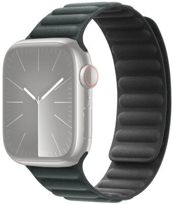 Apple Watch 45mm Evergreen Magnetic Link-M/L